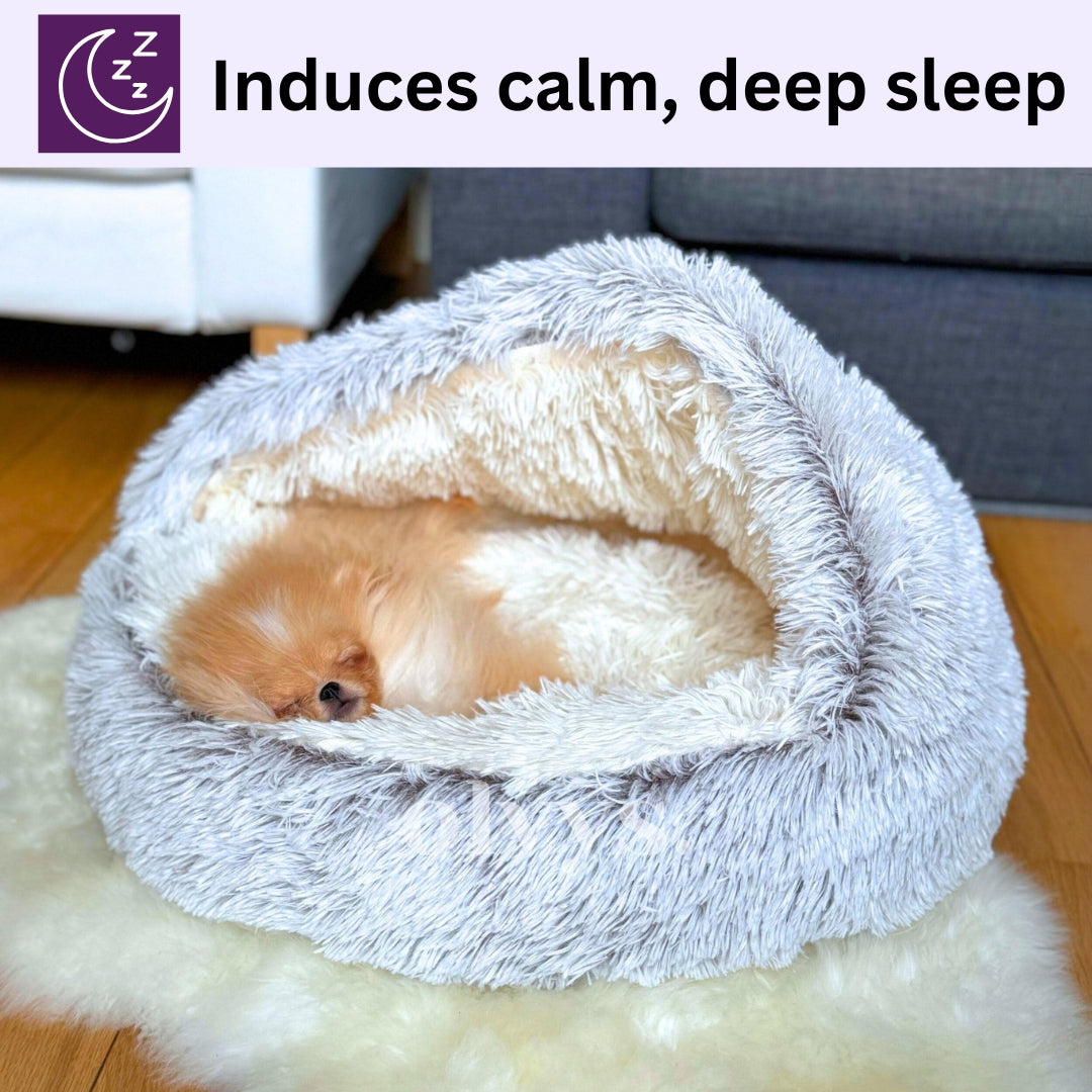 SnugLen®: Contour Relief Bed