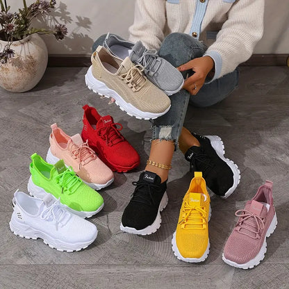 Slipper 2