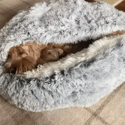 SnugLen®: Contour Relief Bed